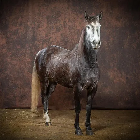 Studiolo Des Sources Апартаменты