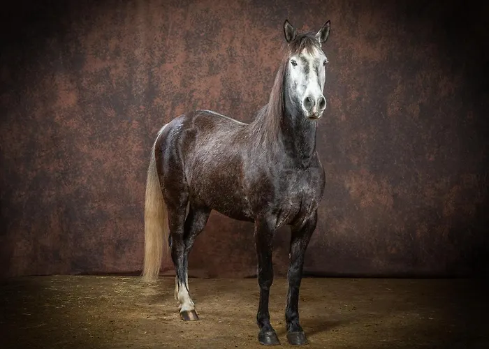 Studiolo Des Sources Apartment